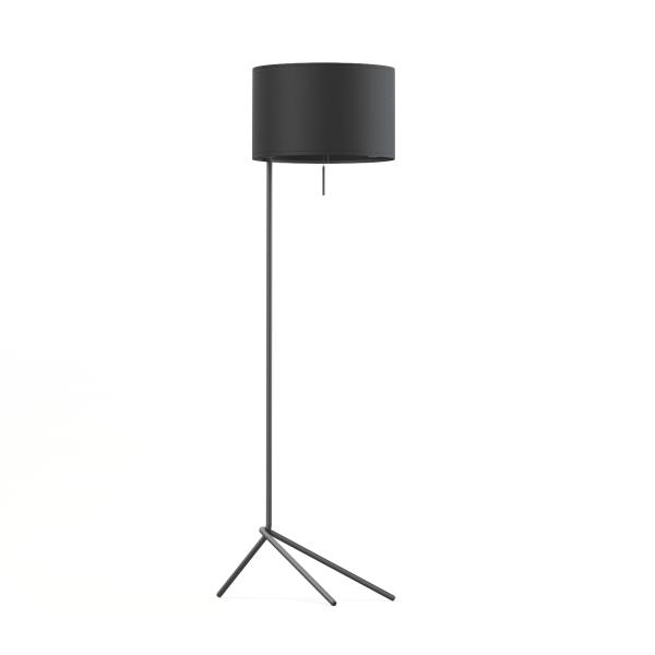 Black Floor lamp - دانلود مدل سه بعدی آباژور - آبجکت سه بعدی آباژور - نورپردازی - روشنایی -Black Floor lamp 3d model - Black Floor lamp 3d Object  - 